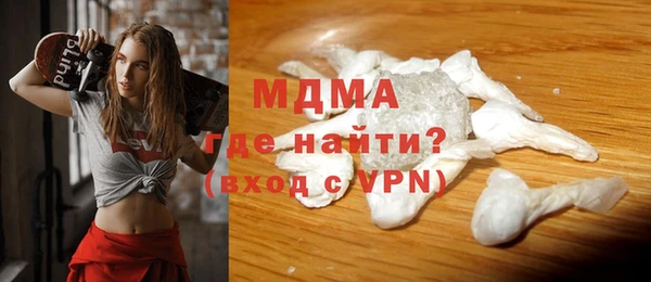 индика Бородино