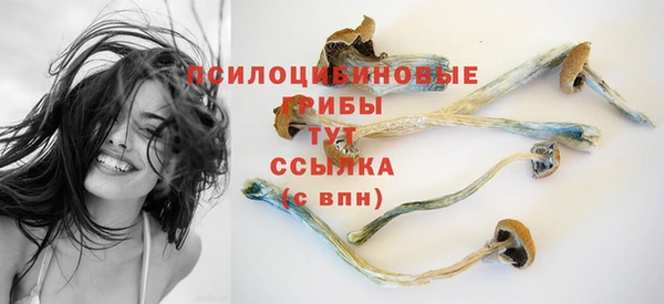 СК Бугульма