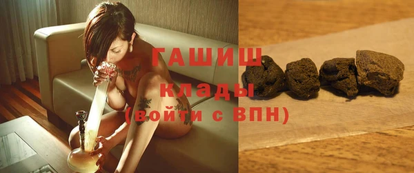 мдпв Богородицк