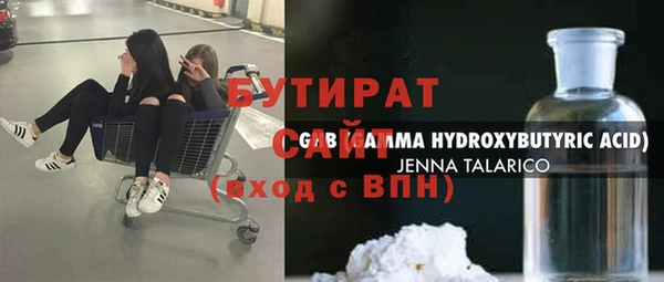 индика Бородино