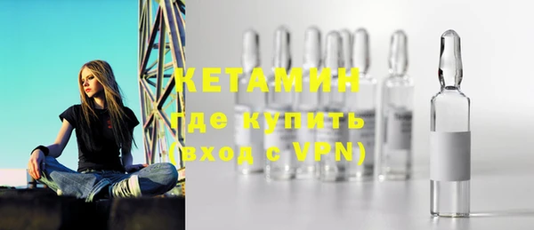 индика Бородино