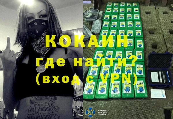 мдпв Богородицк