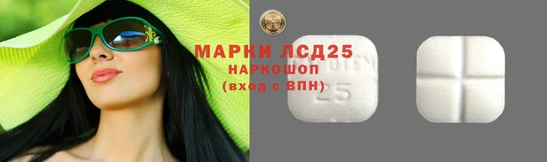индика Хадыженск