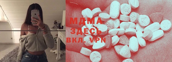 индика Бородино