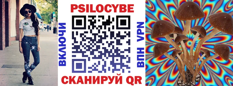 наркота  Павловск  Галлюциногенные грибы MAGIC MUSHROOMS 